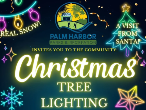 Palm Harbor Parks & Recreation invites you to the Community Christmas Tree Lighting. Real snow! A Visit from Santa!